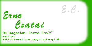 erno csatai business card